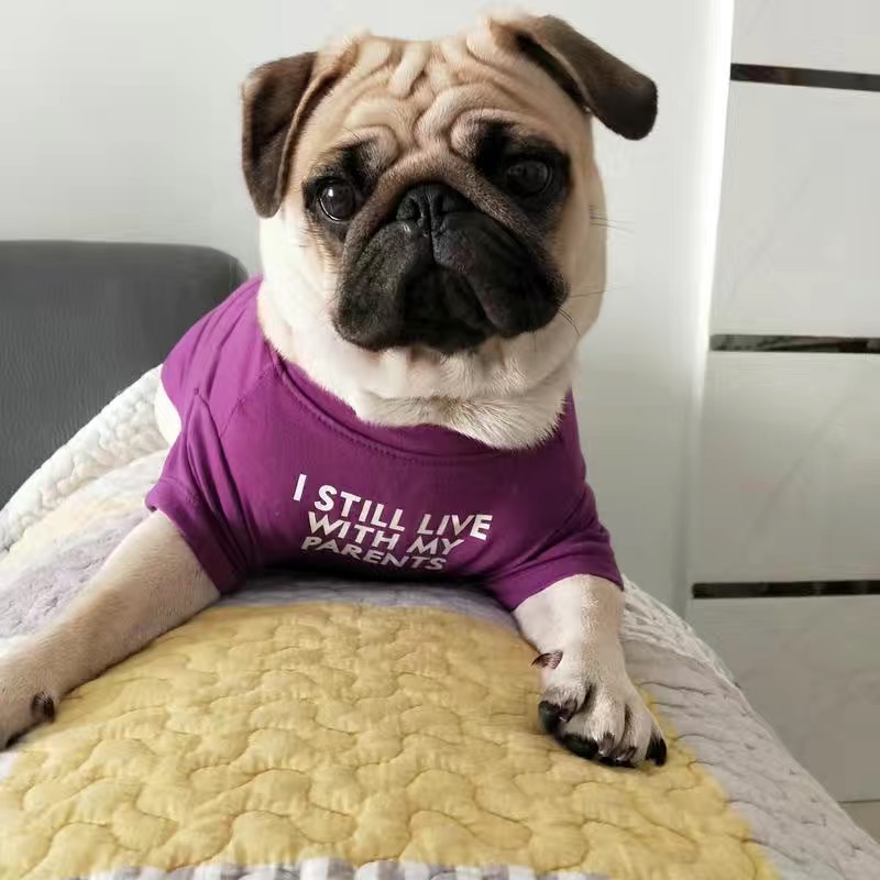 Fashion French Bulldog Pug Ves - огляд і ціна Summer Clothing In French