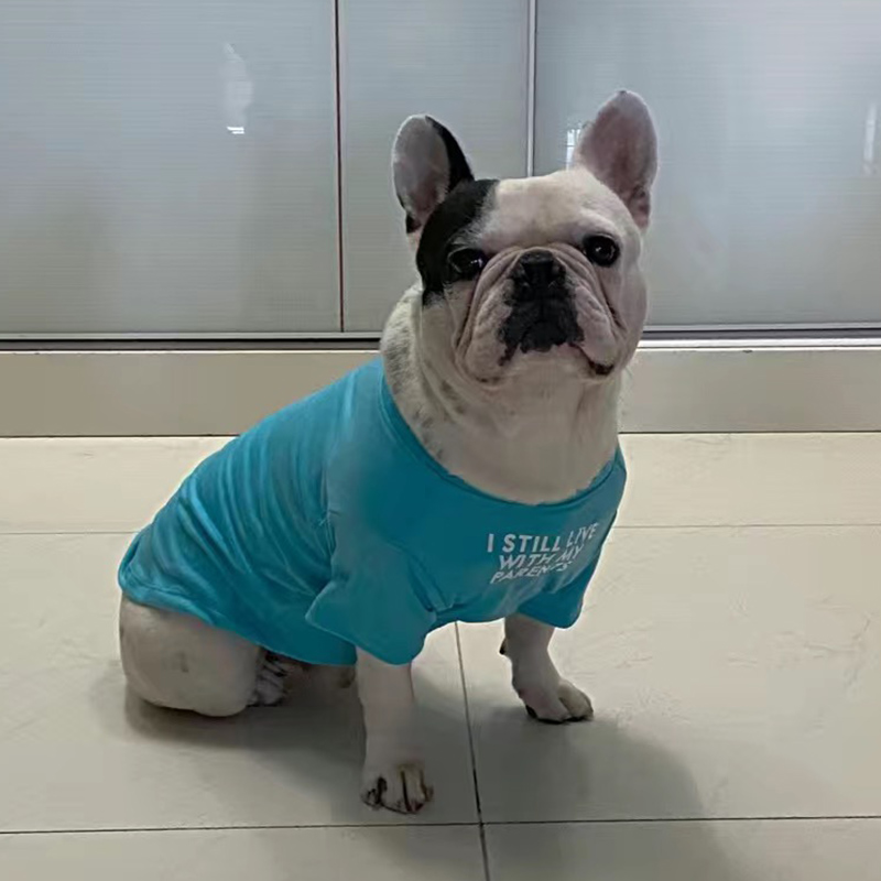 Fashion French Bulldog Pug Ves - огляд і ціна Summer Clothing In French