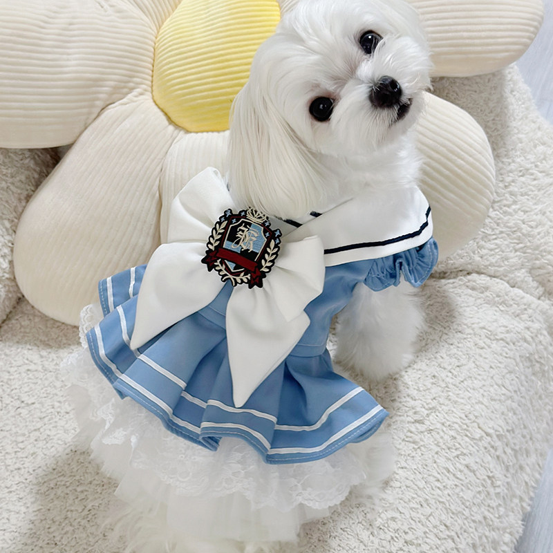 Sweet College Style Dress Pet  - огляд і ціна Summer Clothing In French